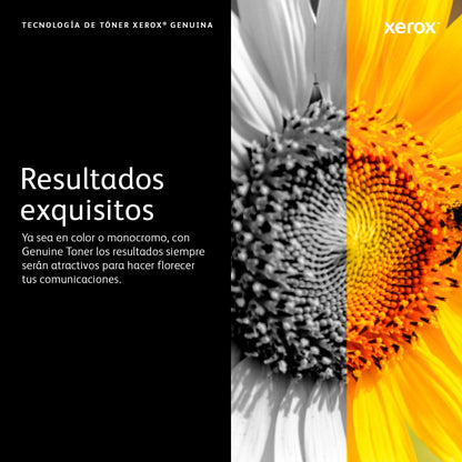 TAMBOR XEROX PARA VERSALINK B600/B605/B610/B615