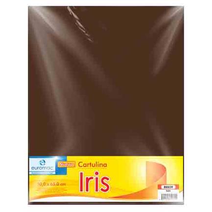 CARTULINA EUROMAC IRIS CAFE 50X65CM C/10