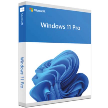 Microsoft Windows 11 Pro For Wrkstns 64 Bits Base License DVD-ROM Spanish