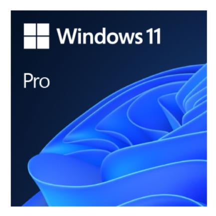 OEM WIN 11 PRO 64BIT SPANISH LATAM 1PK DSP OEI DVD