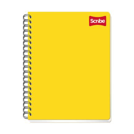 CUADERNO SCRIBE PROFESIONAL CLASICO RAYA 100 HJS